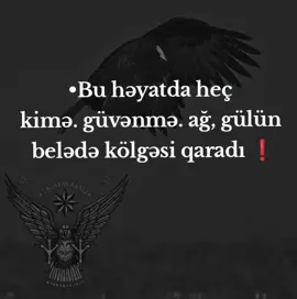 bu həyatda ağ gülün blelə gölgəsi qaradı #röşenlenkaraniski #salamaleykum👑✋🏻 #keşfet 