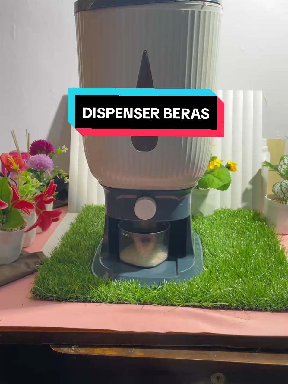 #wadahberas #wadah #wadahberasmurah #wadah #wadah #dispenserberas #dispensermurah #tempatberasserbaguna #murahbanget #fyp #promoawalbulan #promoakhirbulan #shopmaster #tiktokshopindonesia 