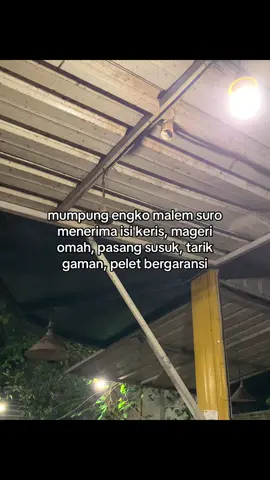 #jowokuciwoo 