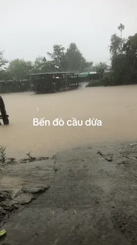 Bến đò cầu dừa#bếnphàkỷniệm #bếnphàkỷniệm #phàmientay #bếnphacaudua 