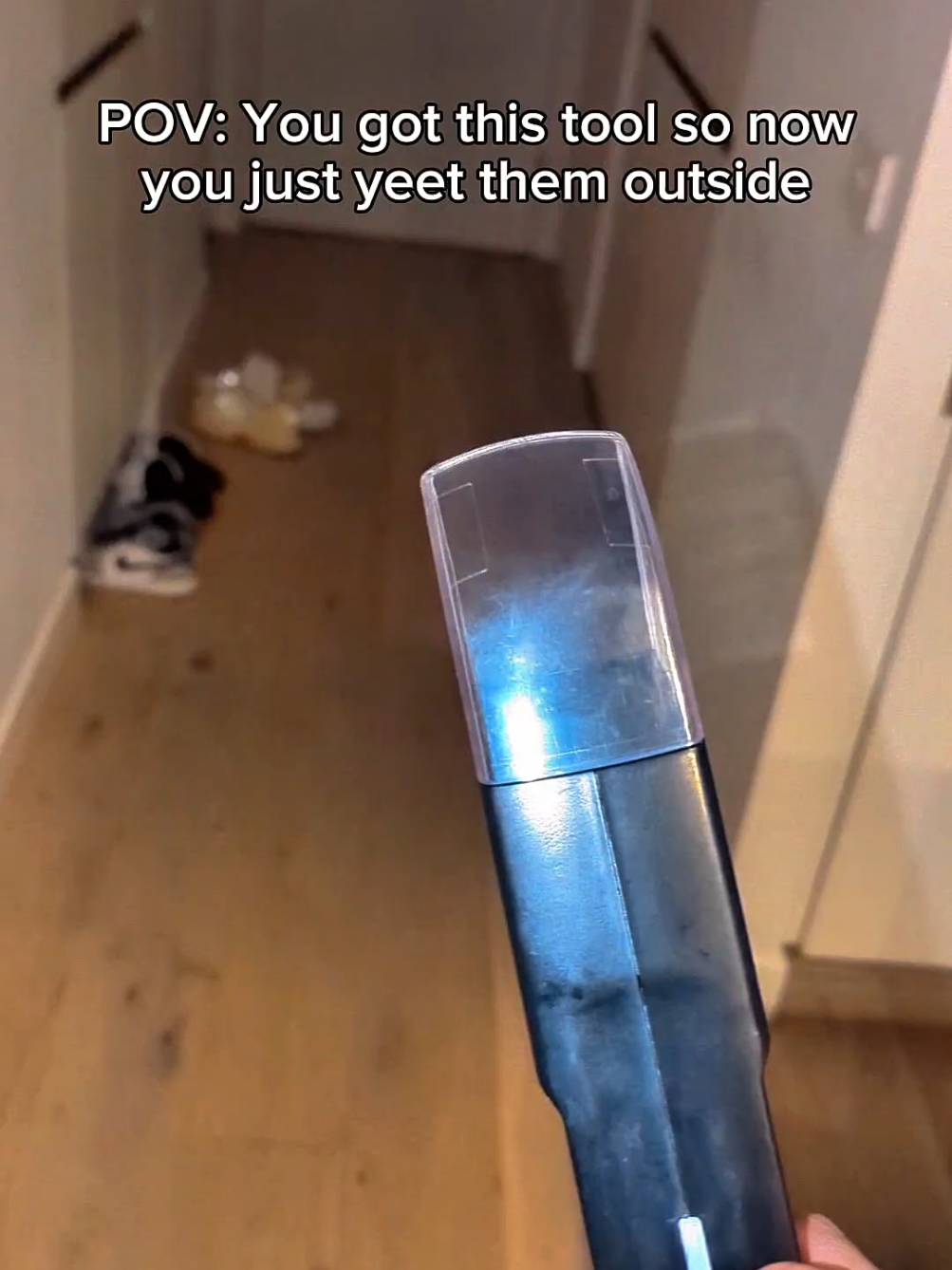 At least this is better than killing them. this bug catcher is a must have for all aussies #tiktokmademebuyit #aussiehome #amazonfinds 