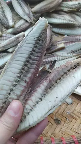 cá ngừ bò tách xương vừa hao cơm vừa chế biến tiện lắm ạ#cangubo #tiktokviral #khanhchifoods #cuocsongthuongngay #amthuctiktok #reviewmonngon #mukbang #foods #cagiaotcaycay  #anngoncungtiktok 
