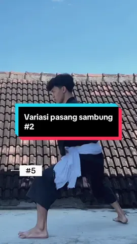 Bagian 2 | Variasi Pasang Sambung🪷 #pasang #sambung #psht #pshtpusatmadiun #pencaksilat #4u #fyp #xybca #masukberandafypシ #rajhananda 