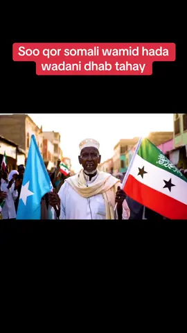 Somali waa mid somaliland iyo Somalia wa Hal #somalitiktok #mogafyp #fyp #ai