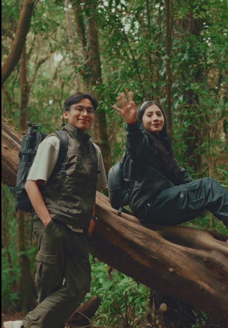 Tag your partner to go on hiking date @Growithcaa  📍upas hill sukawana trek 11 #Hiking #hikingdate  #cinematography #vintage #trip #a7cii #colorgrading #filmlook #davinciresolve #adventure #life #travel #videography #nostalgia #Vlog #cinematic #film #aesthetics