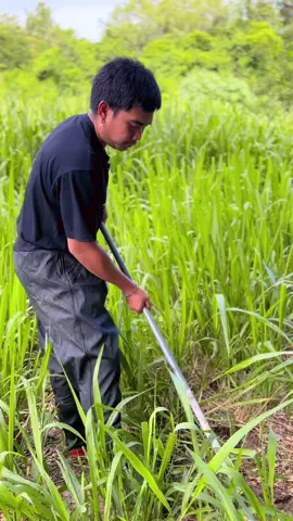 กางเกงบูทดำ PVC#กางเกงบูทกันน้ํายางสังเคราะห์ #กางเกงบูทขายาวกันน้ํา 