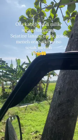 Seng semangat 🌾😇🤲 #fypシ゚viral #fypシ #viralvideo #trendingsound #petanimuda 
