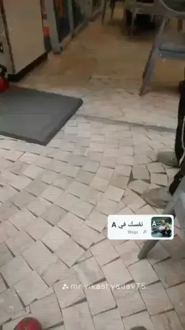 #عيد #بوكس #الشعب_الصيني_ماله_حل😂😂 #ميجو 