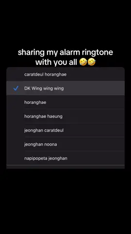 and yep, every time it rings, I laugh 😂😂 @SEVENTEEN  #SEVENTEEN #세븐틴 #CARAT #SEVENTEENCARAT #fyp #foryou #fypシ #foryoupage #fypシ゚viral #Dokyeom #LeeSeokmin #Seokmin #HappyVirus 