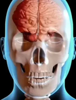 الحلقة رقم 13: علاج الدوار وعلاج الدوخه  في الطب القديم من كتاب نادر ومحظور عمره 1000  علاج الدوخه المستمره  Episode 13: Ancient Cure for Dizziness from a Forbidden Medical Book Over 1000 Years Old! Épisode 13 : Remède ancien contre les vertiges issu d’un livre médical interdit vieux de plus de 1000 ans ! 第13集：来自一部被禁的千年古医书中的头晕古法疗法！ 🇵🇰 Urdu (الأردية): قسط 13: چکر کا قدیم علاج، ایک ہزار سال پرانی ممنوعہ طبی کتاب سے!#creatorsearchinsights  #fyp #weirdfacts #unknownworld #hiddencreatures #مصر #إثيوبيا #الاردن #Episode5 #اكسبلور #اكتشف #اماكن_غريبة #السعودية #السودان #الامارات #اللاجئين #الكويت #الاردن #اثيوبيا #إثيوبيا #الأردن #السودان #جيش_مصر 