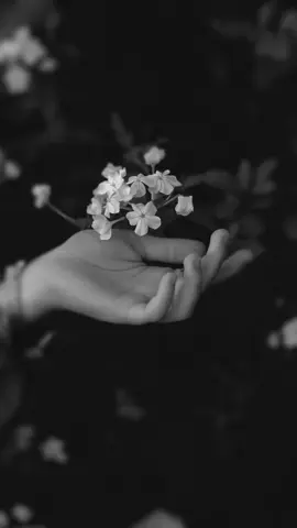 #CapCut #🤲🌼🌿🌼🌿🌹🌹🌹 🌿 