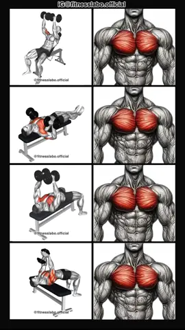✅ How to Get a Wider Chest using Dumbbells  ① Incline Twist Fly  ② Larsen Bench Press ③ Dumbbell Fly ④ Pullover  3 sets 12-15 reps  #Fitness #gym #exercise  #workout #workoutroutine  #exercisetips  #fitnesstips  #bodybuilding #chestday #chestworkouts 