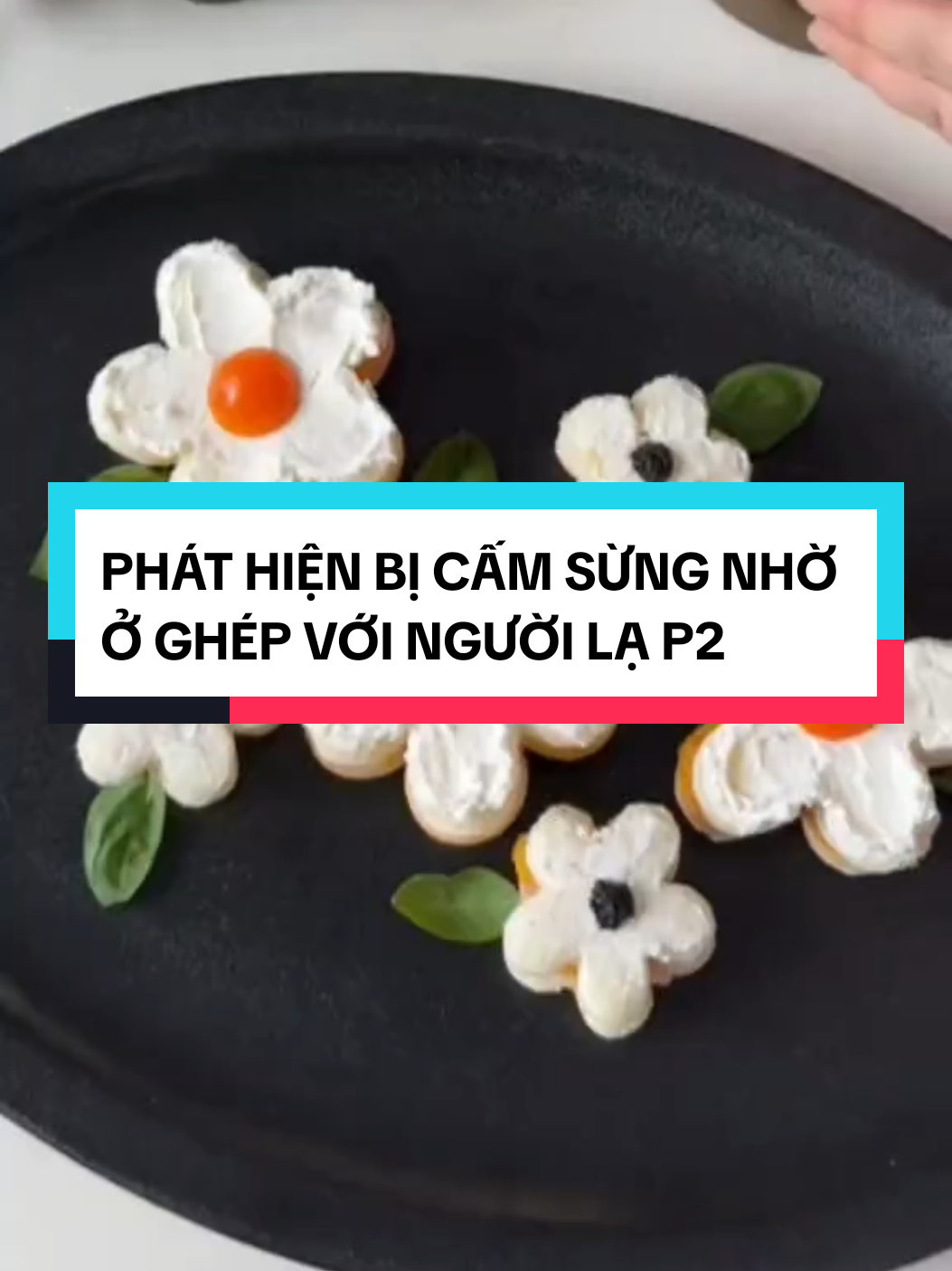 PHÁT HIỆN BỊ CẤM SỪNG NHỜ Ở GHÉP VỚI NGƯỜI LẠ P2 #meohayke #kechuyen #fyp #xuhuong #foryou 