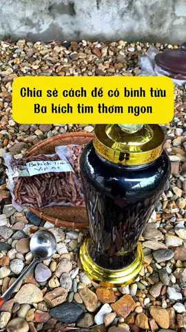 Chia sẻ cách ngâm ba kích chuẩn đúng vị tím lịm#dongamruouphonui #bakichngamruou #bakichquangninh #bakichrung #bakich 