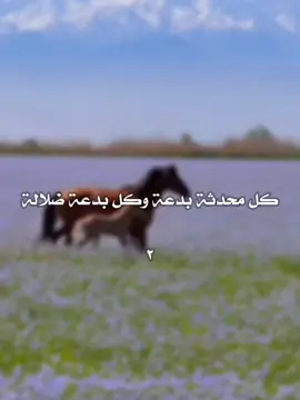 جزء ٢ ❖ مقتطف من شرح السنة للإمام البربهاري رحمهُ اللَّه#سنة_رسول_الله #شرح_السنة_للامام_البربهاري #التوحيد_حق_اللّٰه_على_العبيد👆 