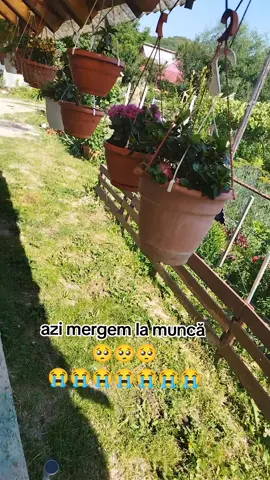 #saracie #munca 