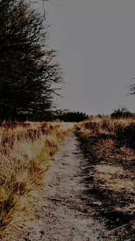 be careful on Thursday 