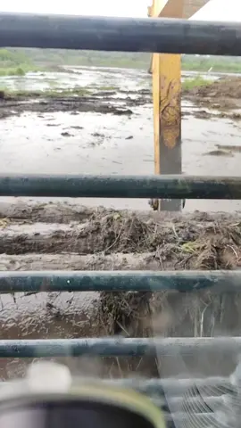 #exsavator  #komatsu  #fyourpage Cetak sawah #hanau #seruyan 