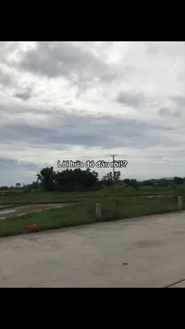 Lời hứa đó đâu rồi hả H#xhhhhhhhhhhhhhhhhhhhhhhh #xuhuong #xuhuongtiktok #phehậnH 