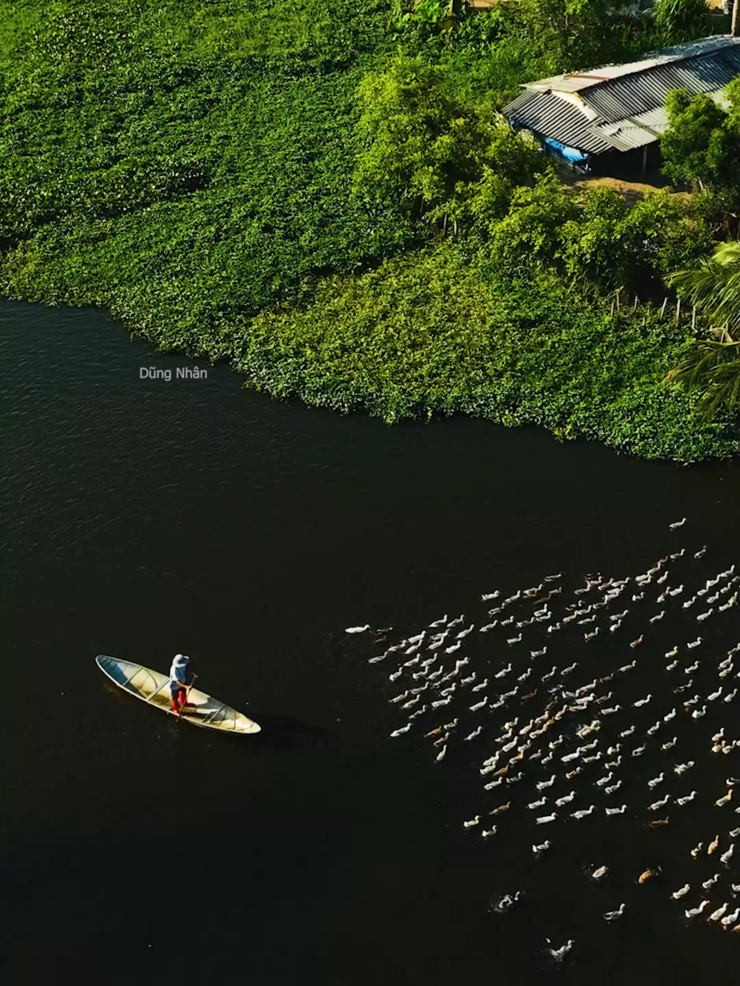 Bình yên cầu Bến Đò - Đề Gi, Gia Lai- Nơi các nghệ sĩ nhiếp ảnh thường đến sáng tác. #mavic3 #caubendo #catminh #degi #flycam
