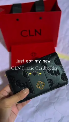 perfect, affordable and chic cardholder/wallet 😍 looks a lot like my new CLN Rizzie Cardholder, check the product link below ⬇️⬇️⬇️ #walletrecommendation #wallet #cardholder #CLNPH #fyp #affiliatemarketing 