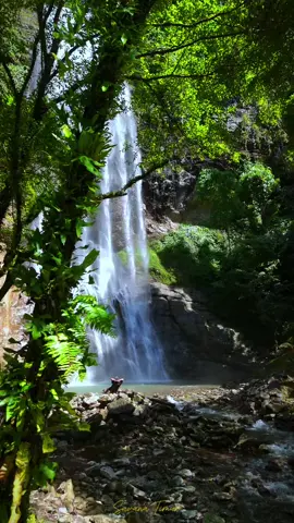 Seperti Air Terjun Hidup tak mengalir mundur . . . . . . . . #waterfalls #airterjunindonesia #airterjunboba #travelgram #travelblogger #travelphotography #pesonaindonesia📷 #pesonaindonesia_id #pesonaairterjunindonesia #bungkuutara #morowaliutara #pejalankaki #pejalanselow #pendaki #pendaki_id #pendakiindonesia⛺ #fy #fypシ❤️💞❤️ #viralindonesia #nature #wildlife #wildlifephotography #instamood #instapic #inspiration #slowlifestyle #slowlivingforlife #like #likepalu #likesulteng