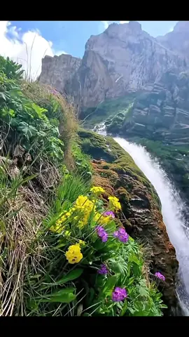 #kurdistan #paradise #duhok_zaxo_amedi_semel_akre #sidakan_soran__hawler__kurdisttan #choman_soran_erbil_iraq #foryou #followers #pirmammasif 