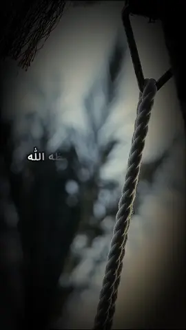لاتطلب من أحد شيء #الشيخ_صالح_الفوزان 