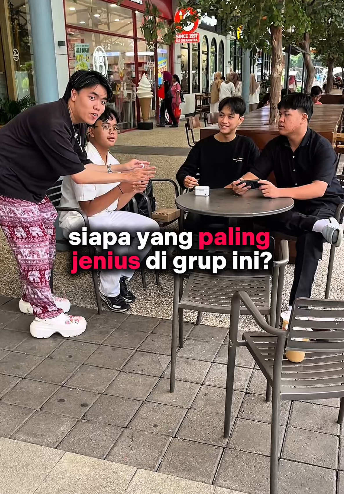 kucing hewan paling pick me? 🤔