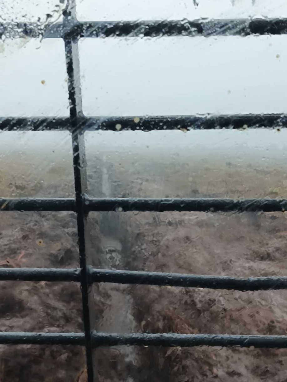 menggigil.. #soundviral #sumitomo130 #fypシ゚viral #kerja #operator_excavator #777macan #fypシ゚ #CapCut #badai #parit 