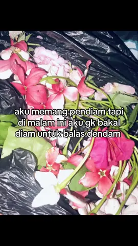 sht#fyp #fype #4upage #bimilahfyp 