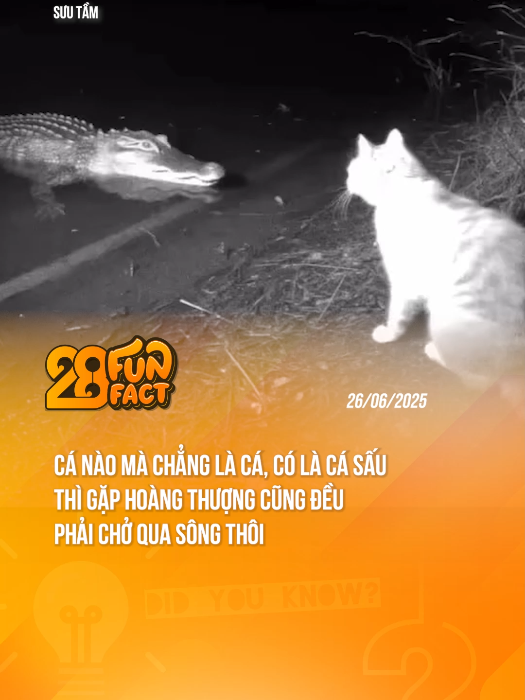 CÁ NÀO MÀ CHẲNG LÀ CÁ #theanh28news #theanh28funfact #tiktoknews #theanh28