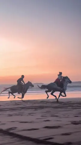 Horse riding essaouira  Enjoying 😝🐴🐴