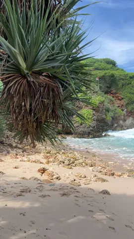 AKU JATUH CINTA SAMA PANTAI KROKOH😭😭👍👍 WALAUPUN JAUH BGT BGT TP WORTH BUAT NENANGIN DIRI DARI HIRUK PIKUK JOGJARAYAAAA #pantai #pantaikrokoh #pantaigunkid #gunkid #gunungkidul #jogja24jam 