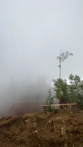 🌫️#fyppppppppppppppppppppppp #masukberandafyp #alatberat #kulitambang #kabut #sumitomo 