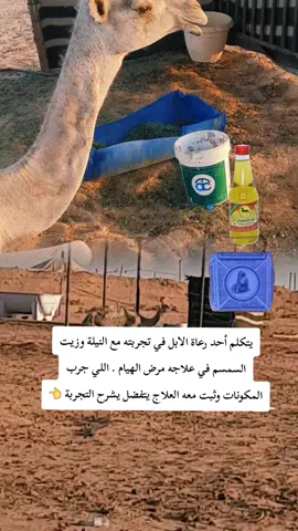 هل في تجارب اكثر مع الطريقة تثبت مفعولها#مزاين_الابل #الصياهد_رماح #نوادر #الطوقي 