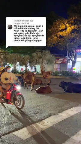 Trả lời @cappuchino234 dễ gì có chung cư nào ở TP mà còn được thấy Bò tung tăng như vậy đâu. Chỉ có ở vùng quê Vinhomes Grand Park 🤣🤣🤣. Xin mượn cmt của bạn nha ❤️. #vinhomes #vinhomesgrandpark #vinhomesq9 #tramanh347 
