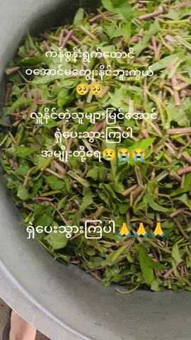 #မိဘမဲ့ကလေးများစောင့်ရှောက်ရေးကျောင်း #ဒါလေးတော့viewများချင်တယ်🥺 #followလုပ်ပေးကြပါ #Shareခြင်းဖြင့်ကုသိုလ်ယူပေးပါ #ဒါလေးတော့viewများချင်တယ် 