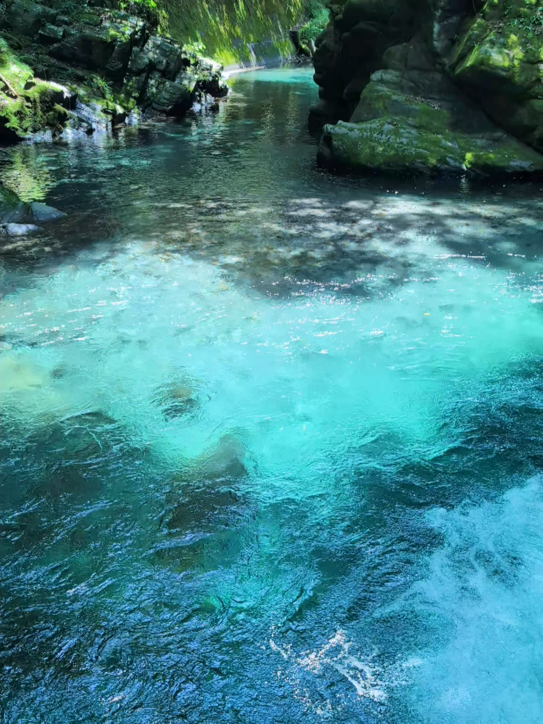この水面ハートに見えると思って撮影したけどそうでもなくて萎えた😭😭#cello #sceneryvideos #nature #hauser #川 #癒し