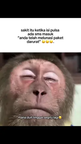 dahla🗿 #foryou #foryoupage #fyp #followme #ngakak #pov #mk #meme #memes 