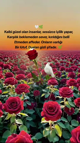 #keşfet #viral_video_tiktok #keşfet #öneçıkar 