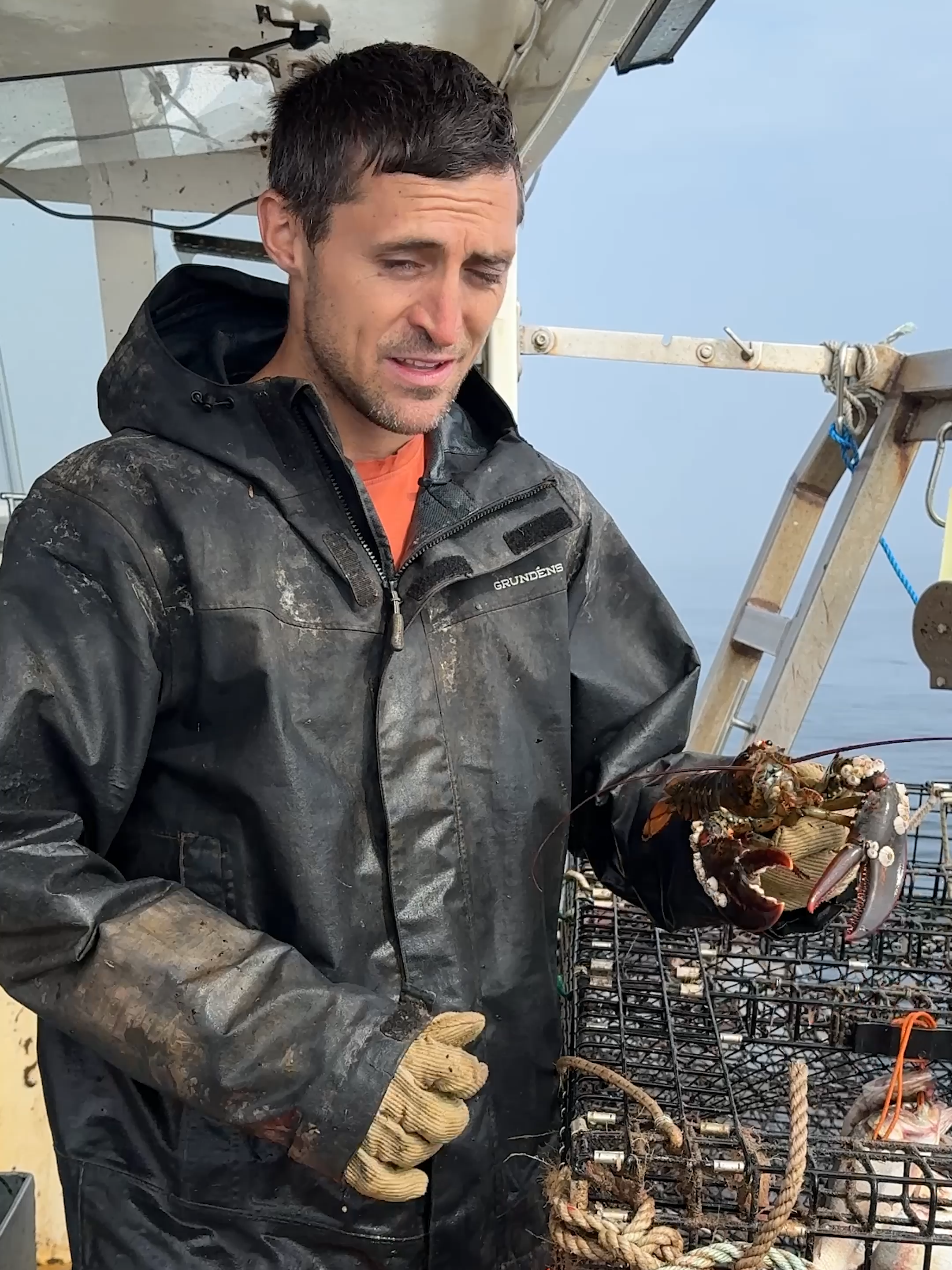 Poor little fella covered in barnacles found the right boat! #fishing #seafood #commercialfishing #maine #Outdoors #interesting #educate #learn #asmr #satisfying #funny #satisfyingvideos #theclawspa #lobster