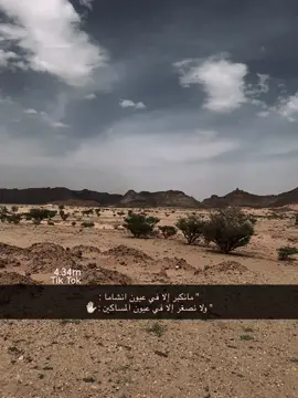 #قصايد_شعر_خواطر #اكسبلور_تيك_توك #مشاهير_تيك_توك #الشعب_الصيني_ماله_حل😂 #fyp 