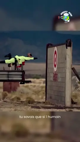 Peut-on traverser un mur avec une vitesse supersonique ? #apprendresurtiktok #lesaviezvous #experience 