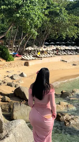 #creatorsearchinsights 