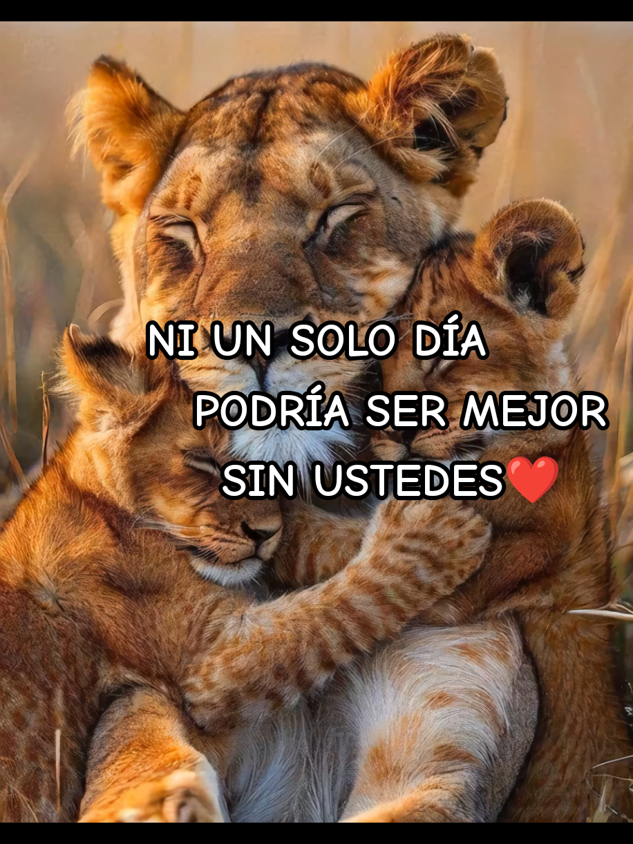 NI UN SOLO DÍA PODRÍA SER MEJOR SIN USTEDES❤️