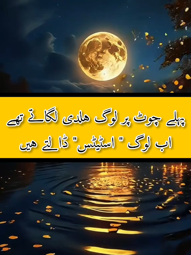 #urdupoetry #foru #fyp #deeplines 