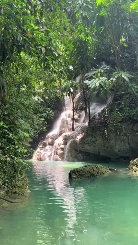 Somerset Falls, Portland Parish, Jamaica #jamaica #jamaicantiktok #876 #visitjamaica #discoverjamaica #explorejamaica #caribbeantiktok #caribbeanlife #jamaicajamaica #somersetfalls #portlandparish #fyp #portlandjamaica #waterfalls #waterfall #waterfallsoftiktok 