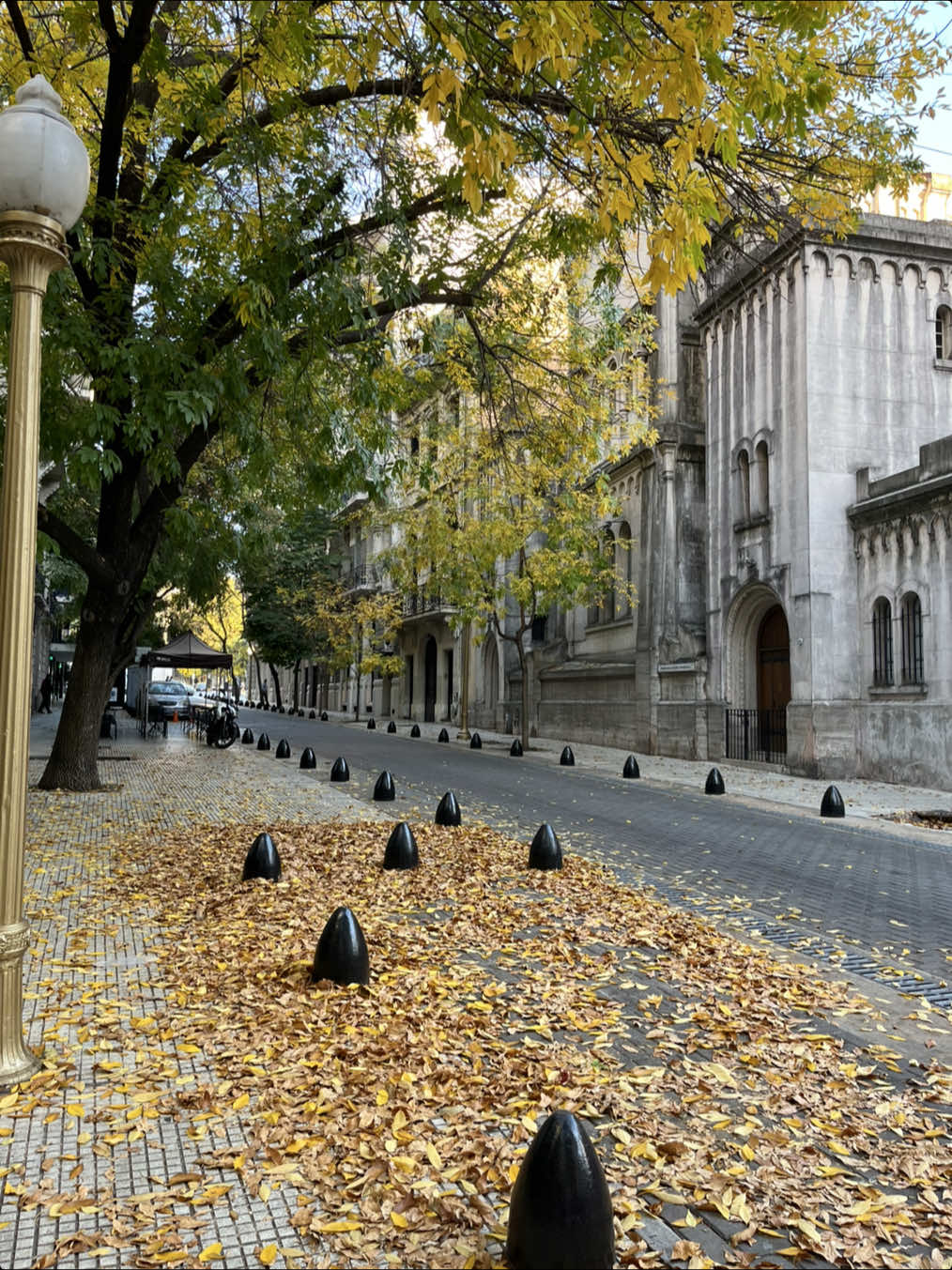 Fall at Calle Arroyo 🍁🍂 #buenosaires #argentina #fall #autumn #autumnvibes #buenosairesargentina #traveltiktok #traveltok #caba #buenosairescity #cozycore 