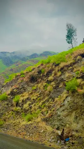 #malakamd aw baran🥰🫀🥀#viralvideos 